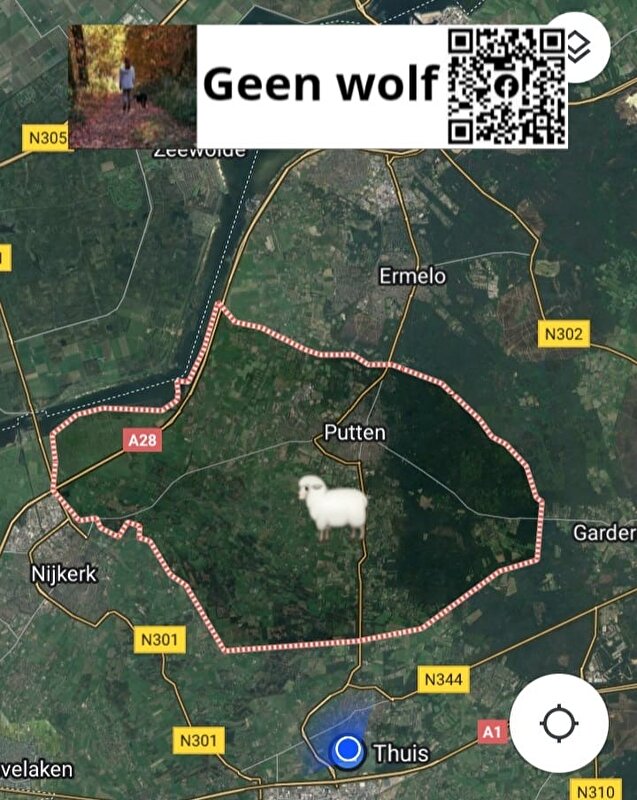Afbeelding