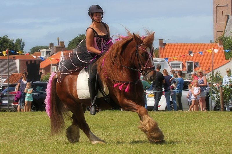 Afbeelding