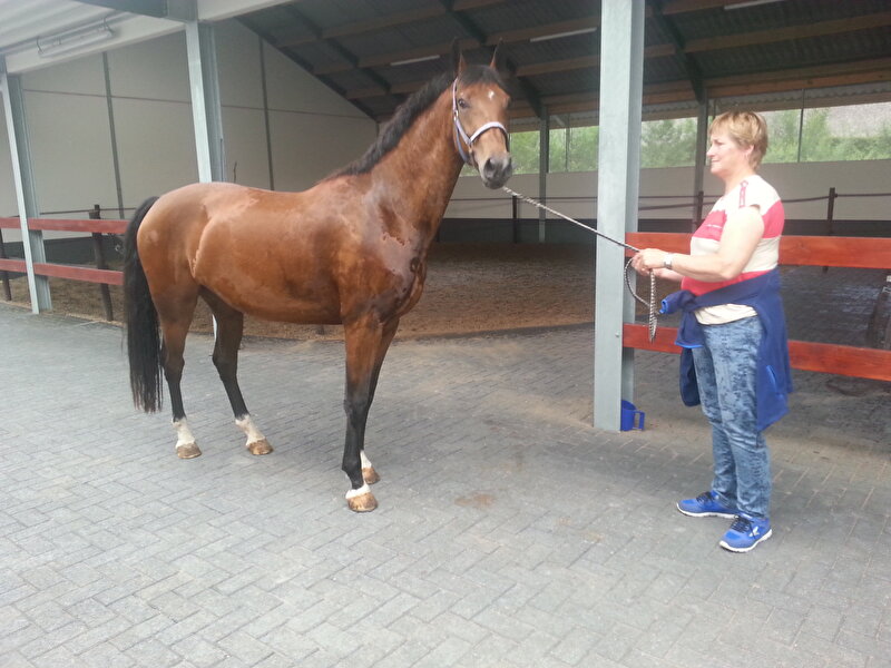 Afbeelding