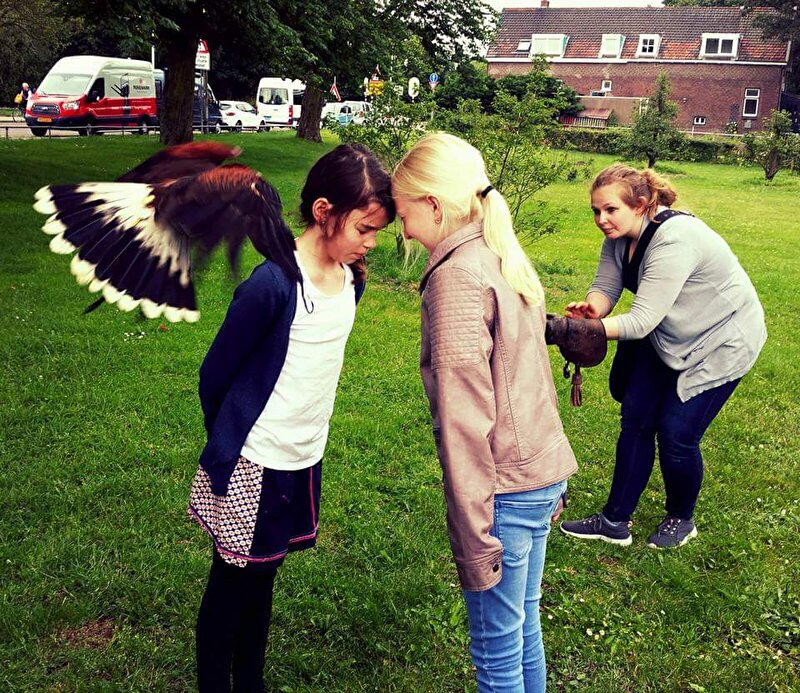 Afbeelding