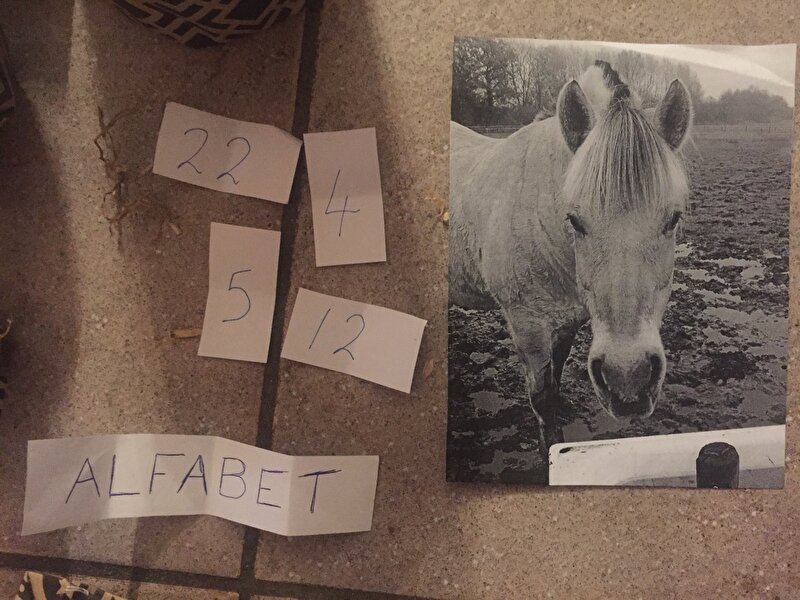Afbeelding