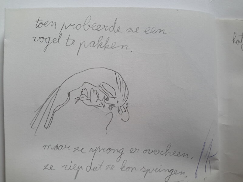 Afbeelding
