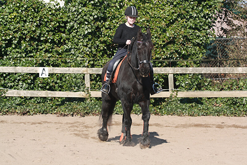 Afbeelding