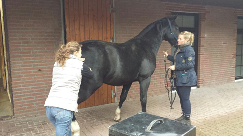 Afbeelding