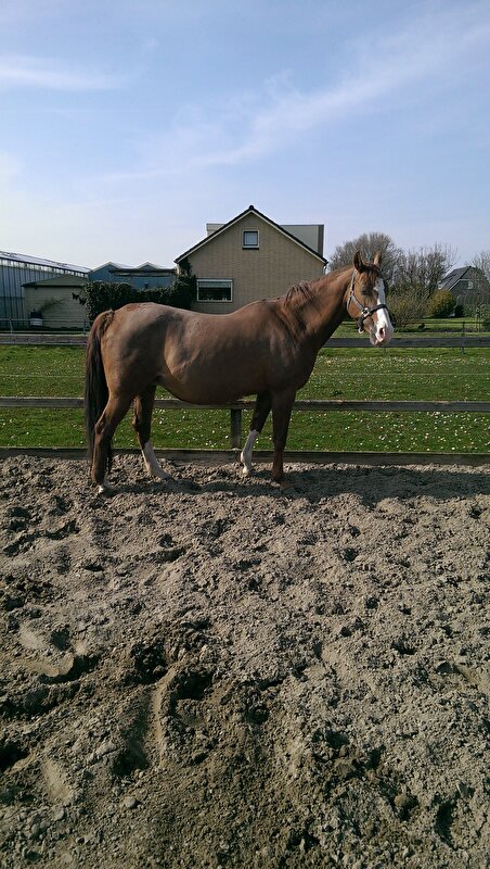 Afbeelding