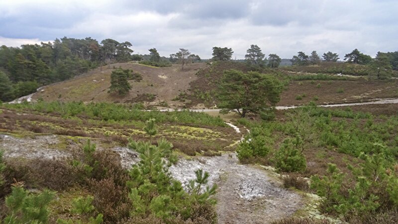 Afbeelding