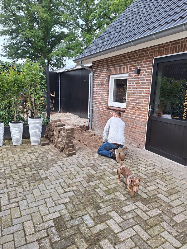 Afbeelding