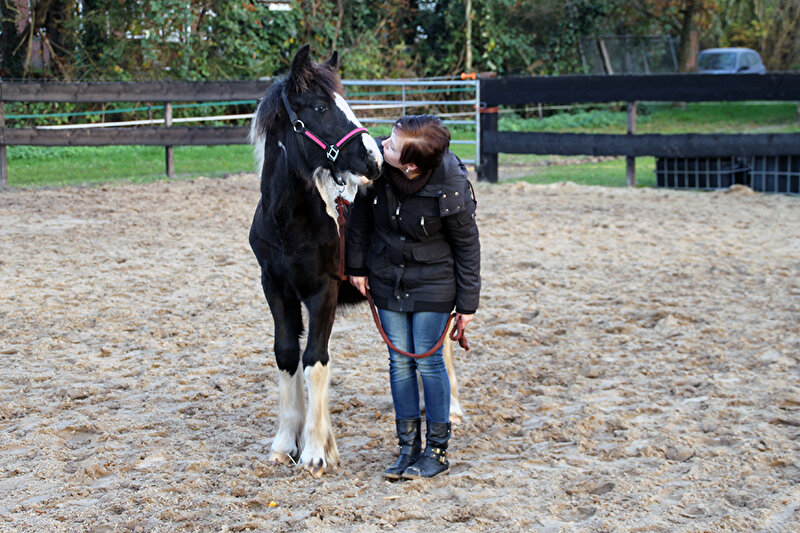 Afbeelding