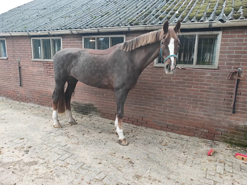 Afbeelding
