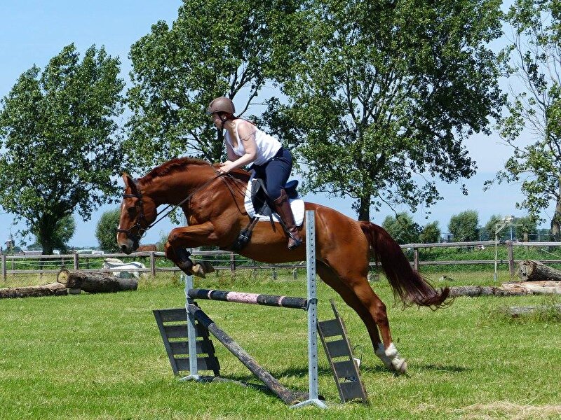Afbeelding