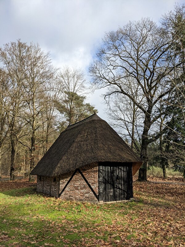 Afbeelding