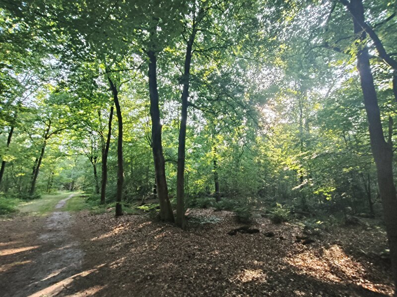 Afbeelding