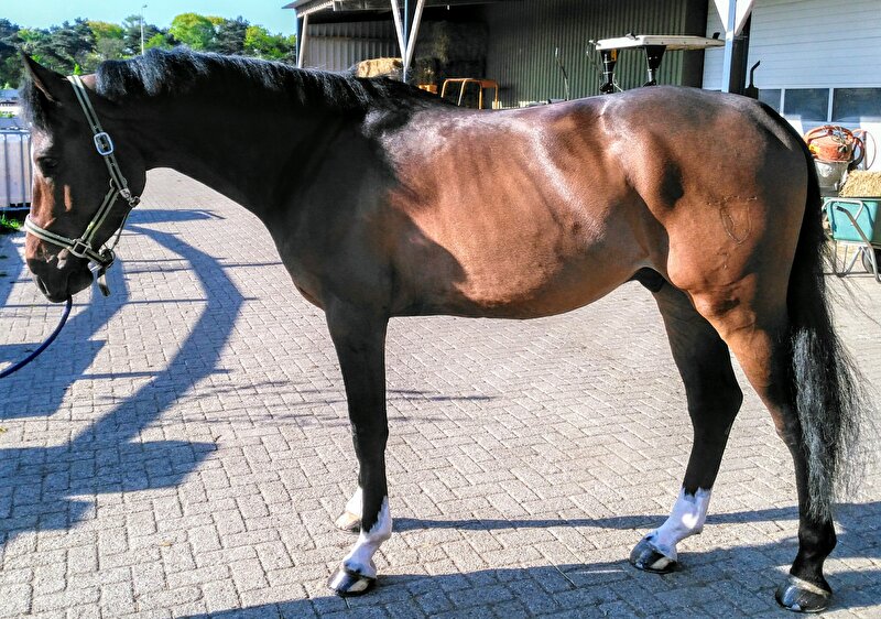 Afbeelding