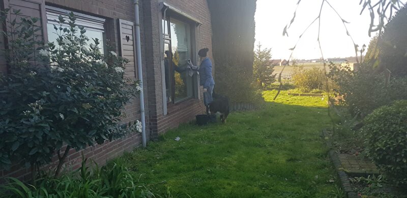 Afbeelding