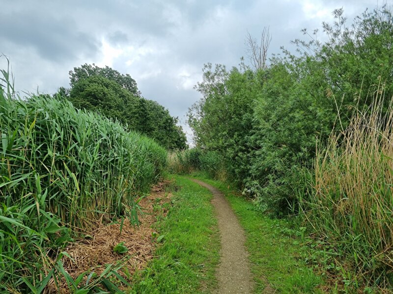 Afbeelding