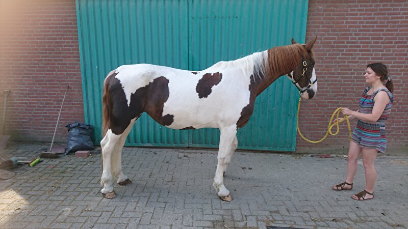 Afbeelding