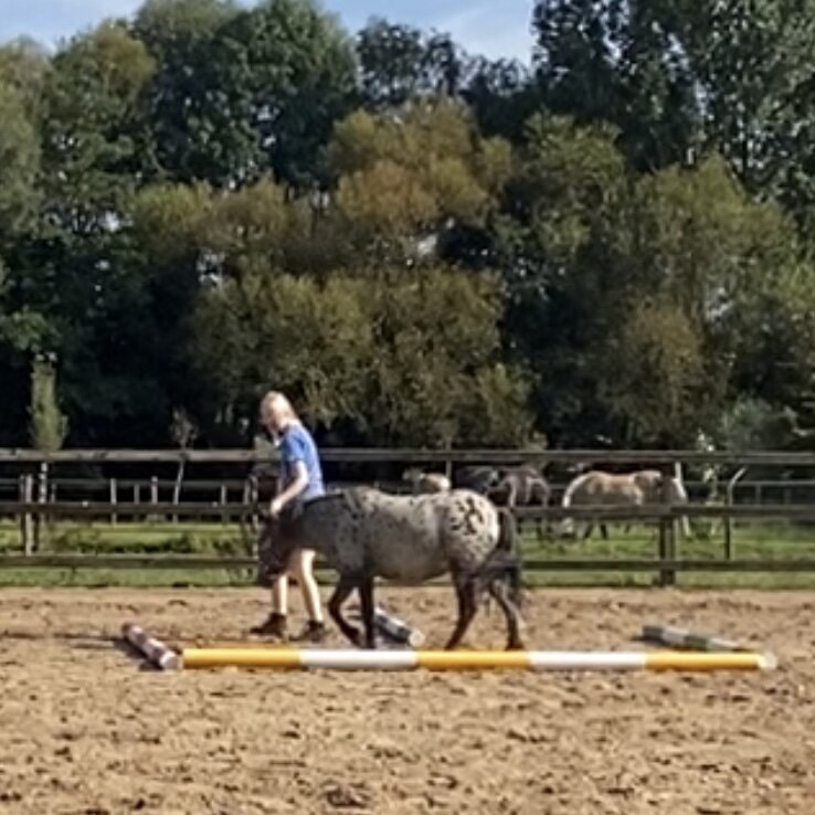Afbeelding