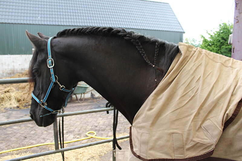 Afbeelding