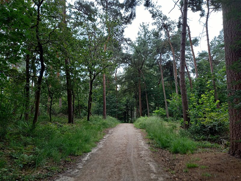 Afbeelding
