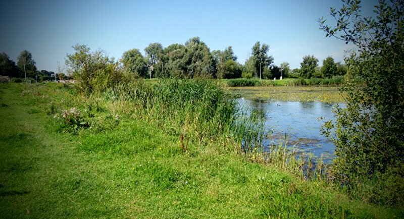 Afbeelding