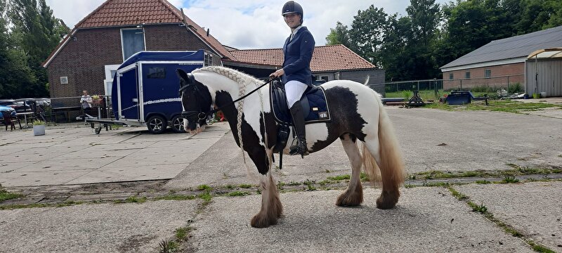 Afbeelding