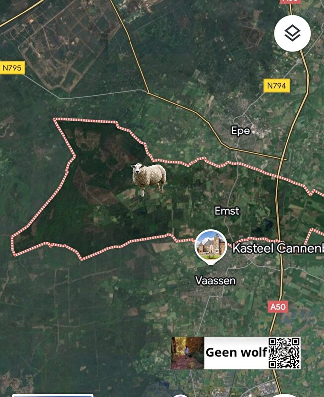 Afbeelding