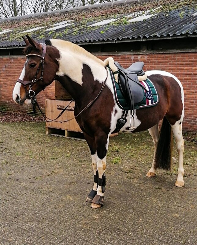 Afbeelding
