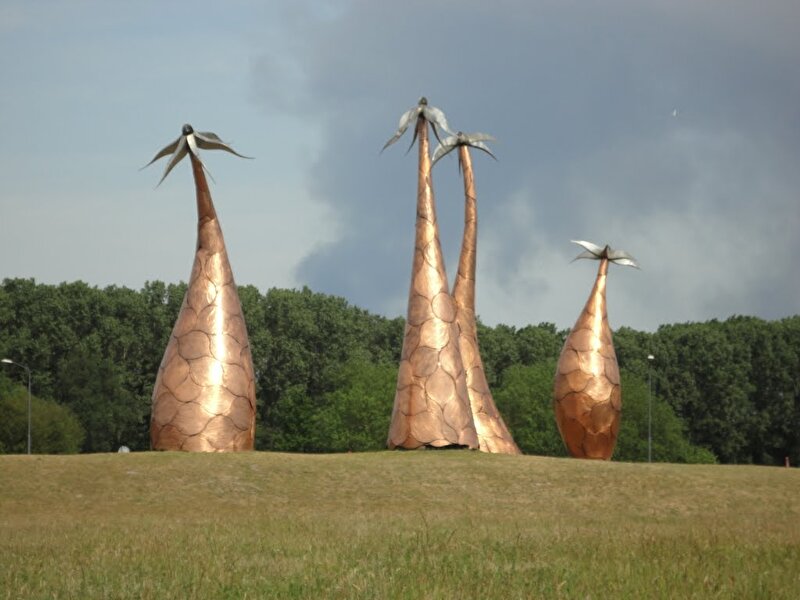 Afbeelding