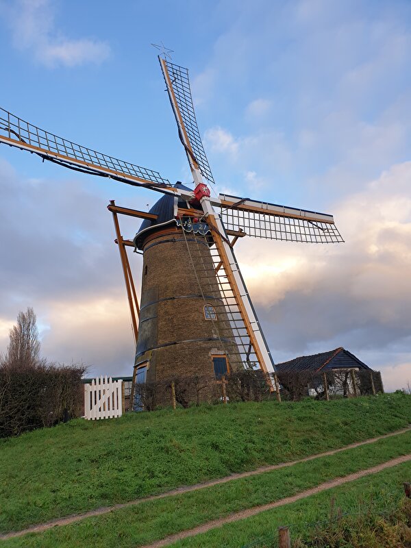Afbeelding