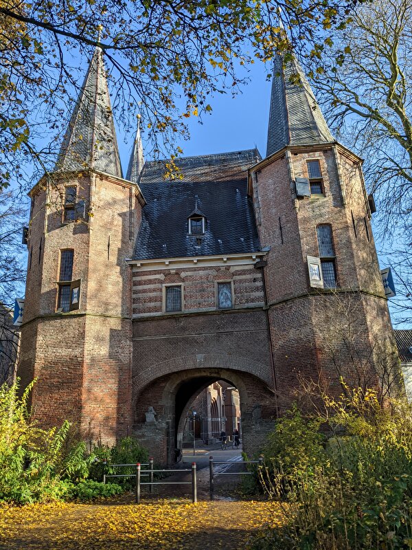 Afbeelding