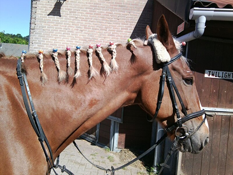Afbeelding