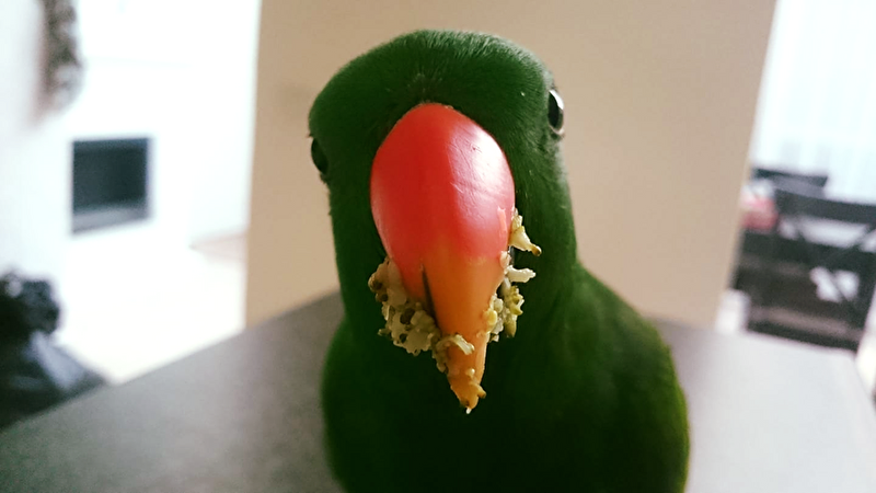 Afbeelding