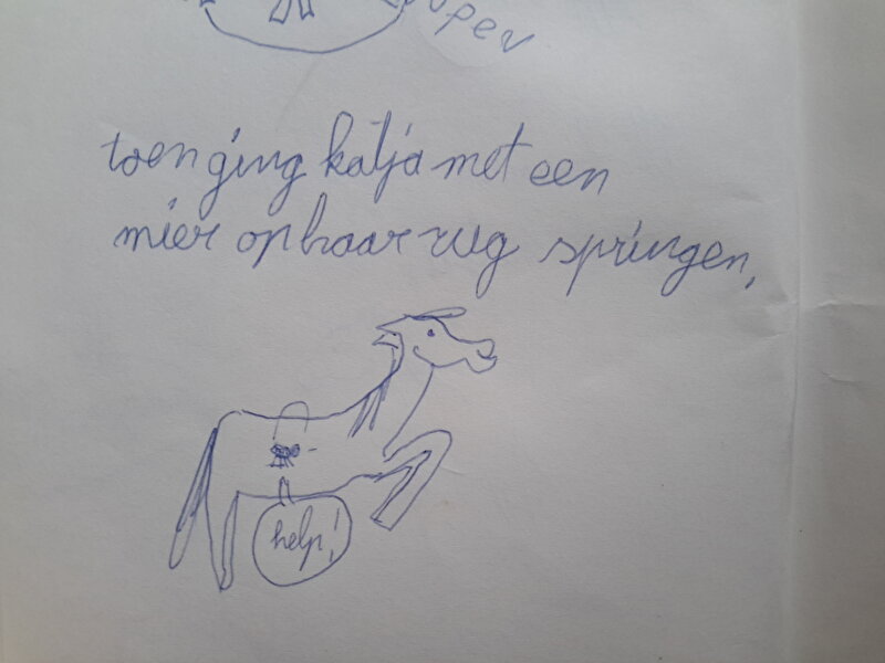 Afbeelding