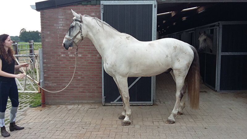 Afbeelding