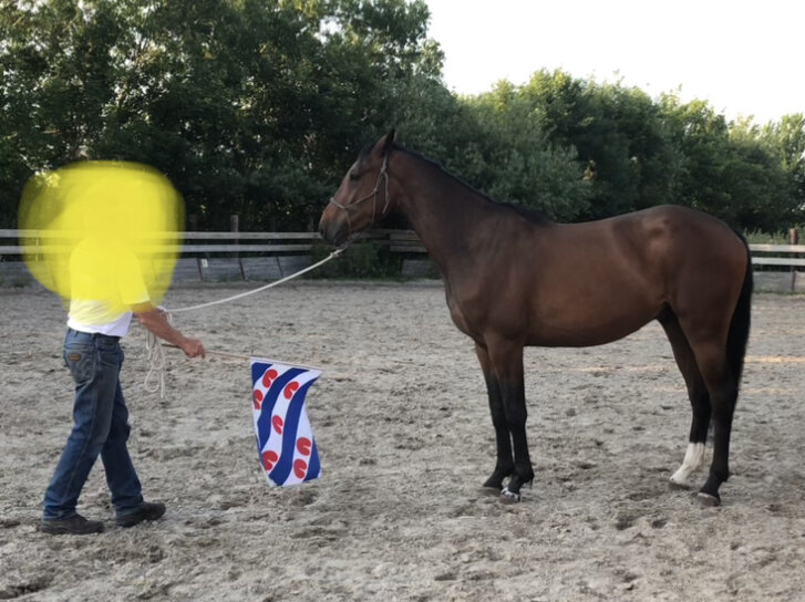 Afbeelding