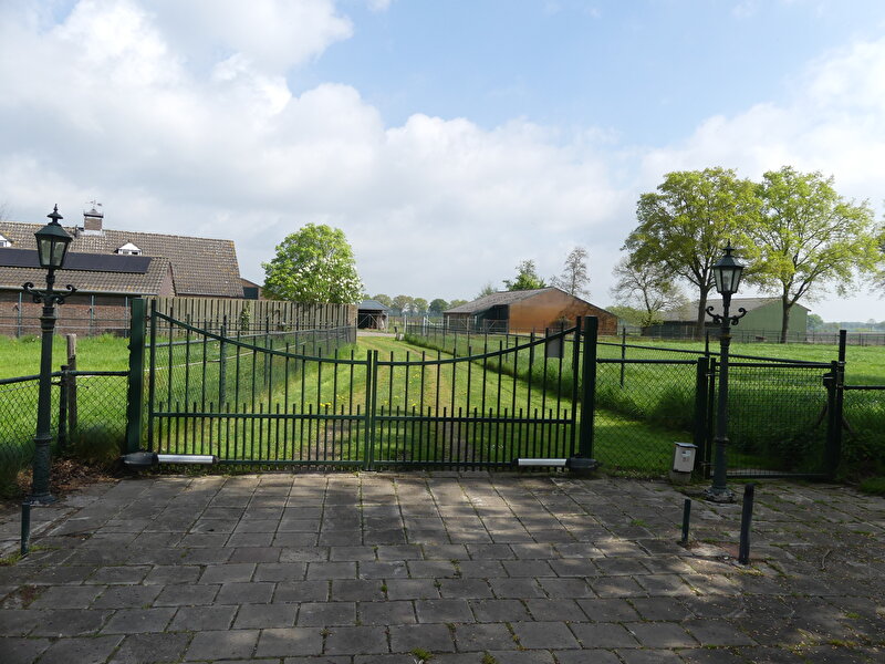 Afbeelding