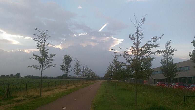 Afbeelding