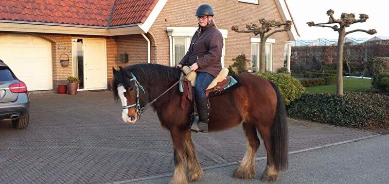 Afbeelding