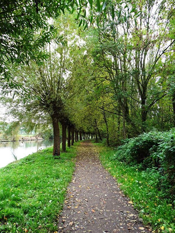Afbeelding