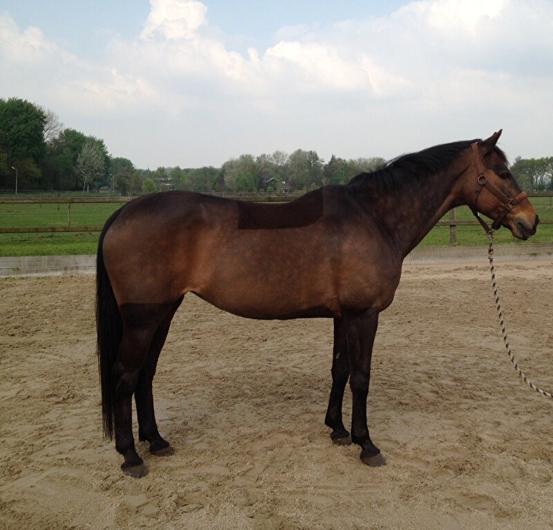 Afbeelding