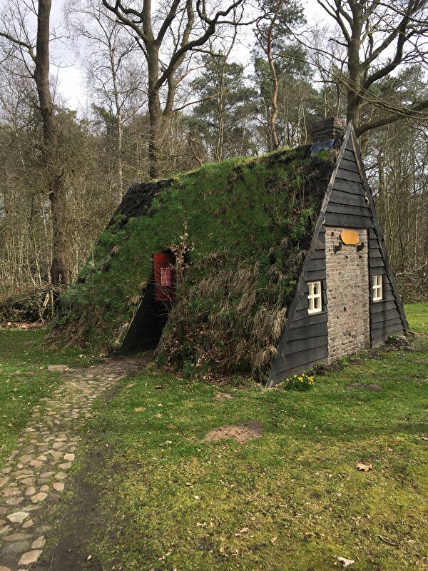 Afbeelding