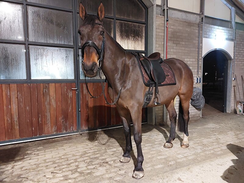 Afbeelding
