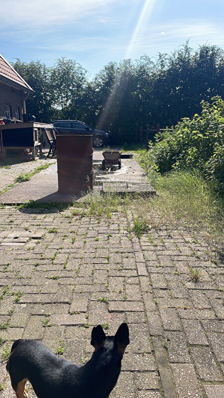 Afbeelding