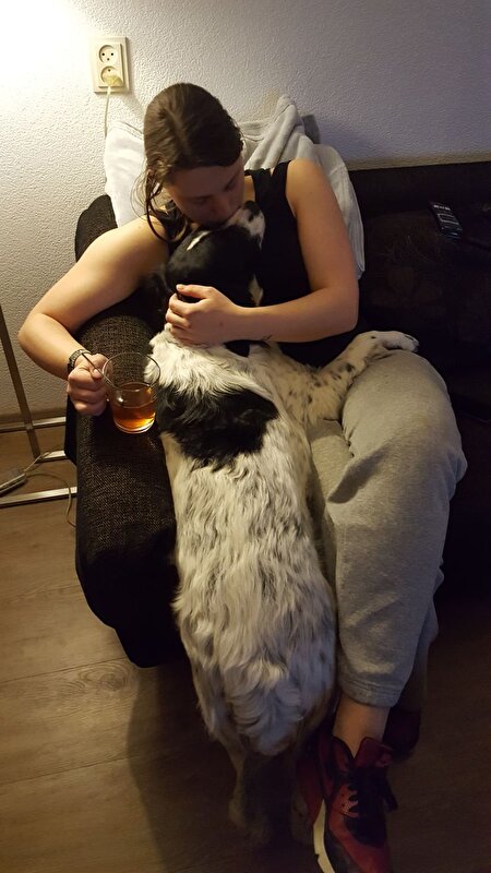 Afbeelding