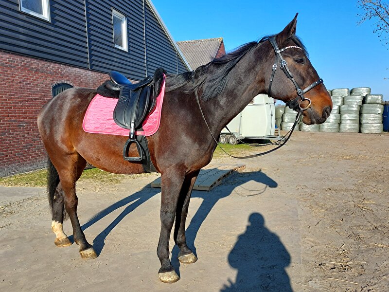 Afbeelding