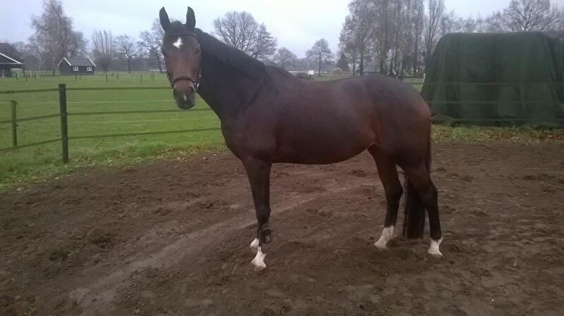 Afbeelding