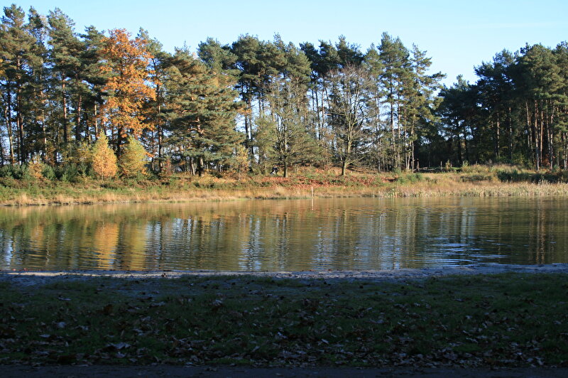 Afbeelding