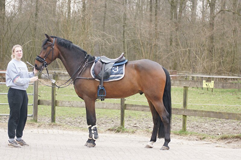 Afbeelding