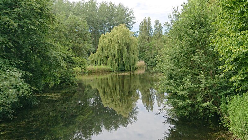 Afbeelding