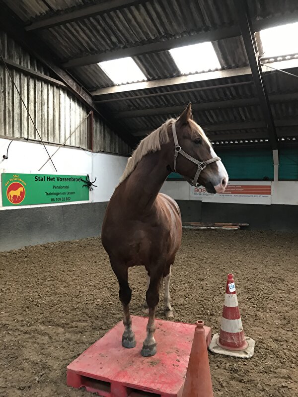 Afbeelding